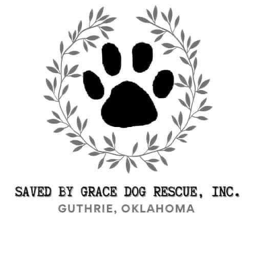 Saved By Grace Dog Rescue, Inc