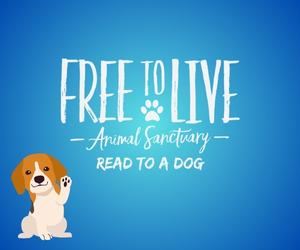 Free to Live Animal Sanctuary- Read to Dogs
