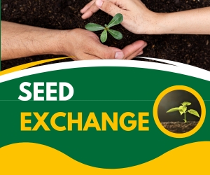 Seed Exchange